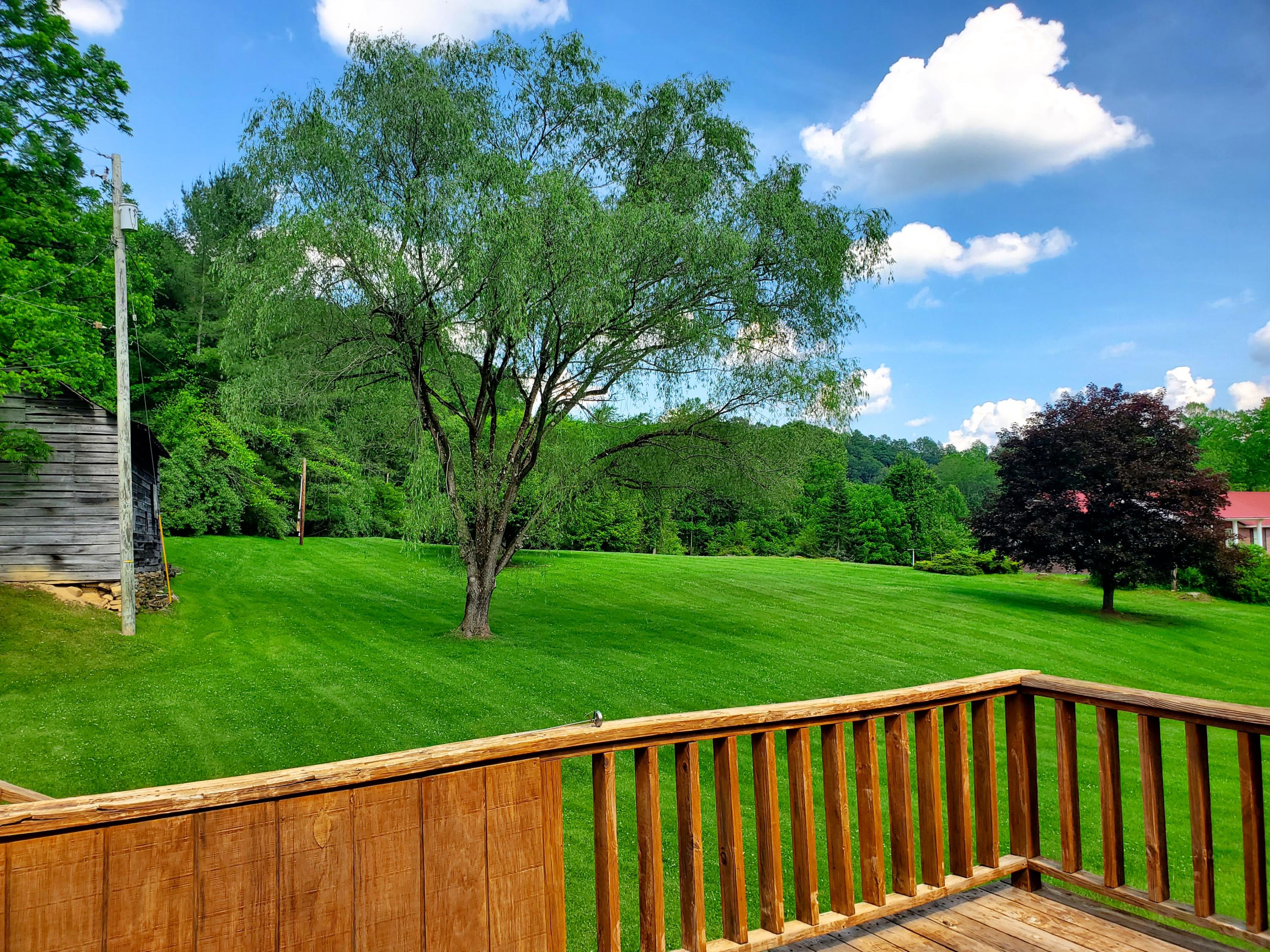 4116 Dungannon Road Coeburn, VA 24230 - Photo 33 of 42 Back Yard