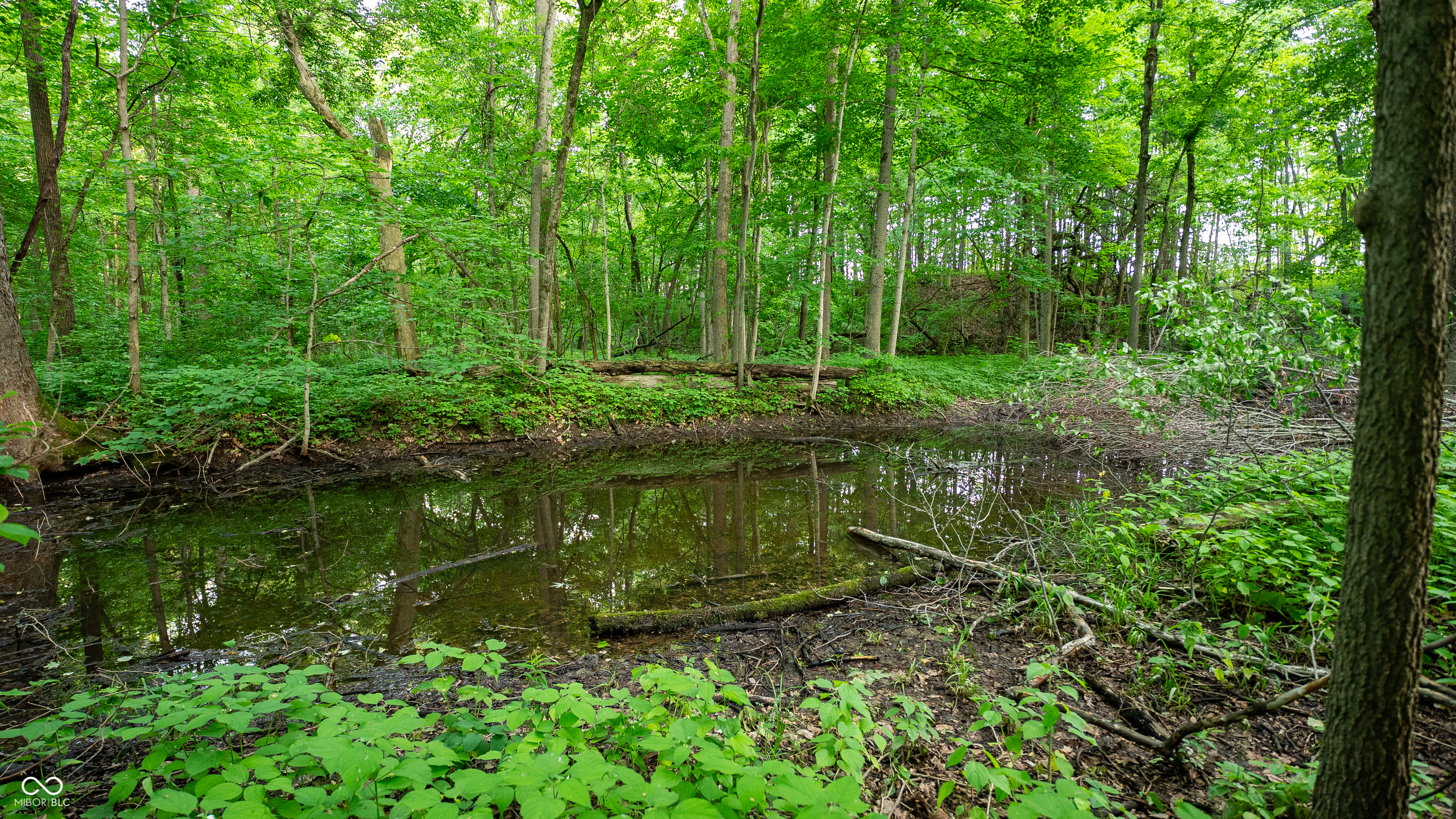 910 South 800 E Road Zionsville, IN 46075 - Photo 92 of 109