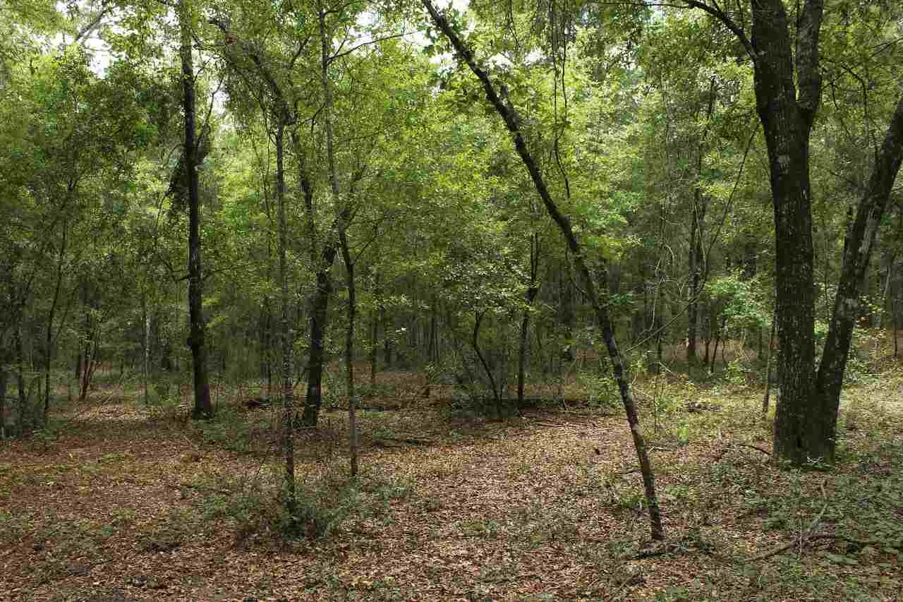 409 Northwest Hummingbird Way Madison County, FL 32340 - Photo 3 of 21 Gallery Image 3