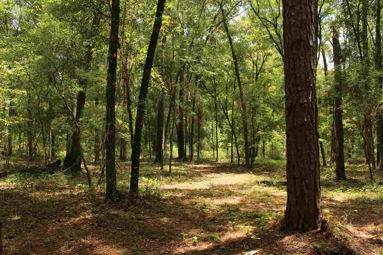 409 Northwest Hummingbird Way Madison County, FL 32340 - Photo 5 of 21 Gallery Image 5