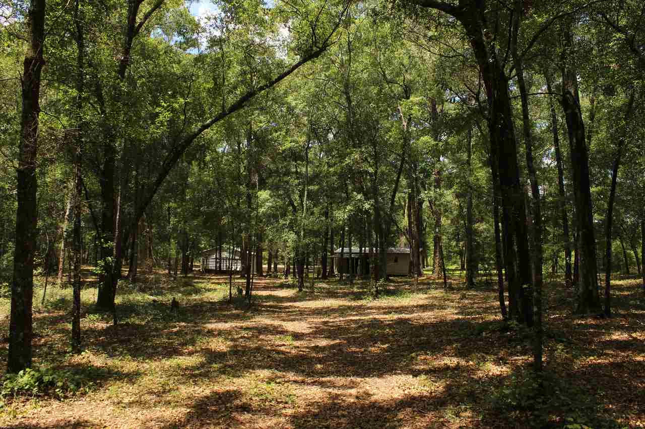 409 Northwest Hummingbird Way Madison County, FL 32340 - Photo 7 of 21 Gallery Image 7