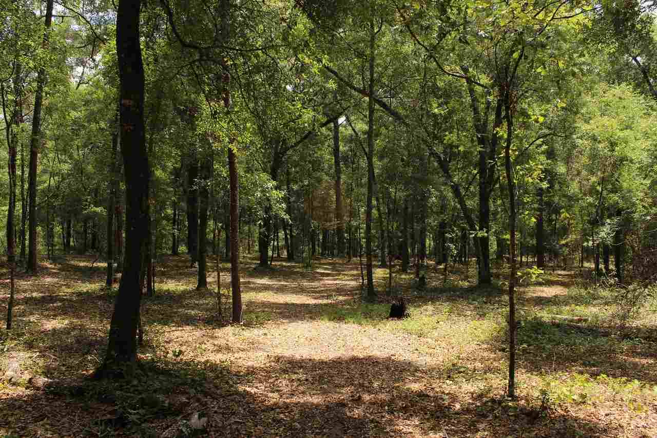 409 Northwest Hummingbird Way Madison County, FL 32340 - Photo 9 of 21 Gallery Image 9