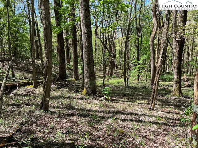 $160,000 | Lots C24-c33 Lots C24-c33 Buffalo Nvno, Zionville, NC 28698
