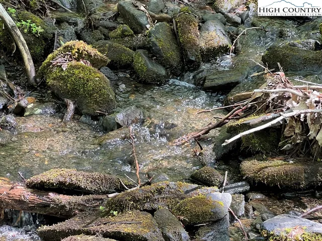 $160,000 | Lots C24-c33 Lots C24-c33 Buffalo Nvno, Zionville, NC 28698