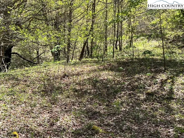 $160,000 | Lots C24-c33 Lots C24-c33 Buffalo Nvno, Zionville, NC 28698