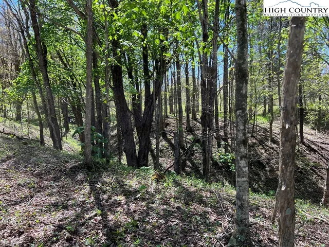 $160,000 | Lots C24-c33 Lots C24-c33 Buffalo Nvno, Zionville, NC 28698