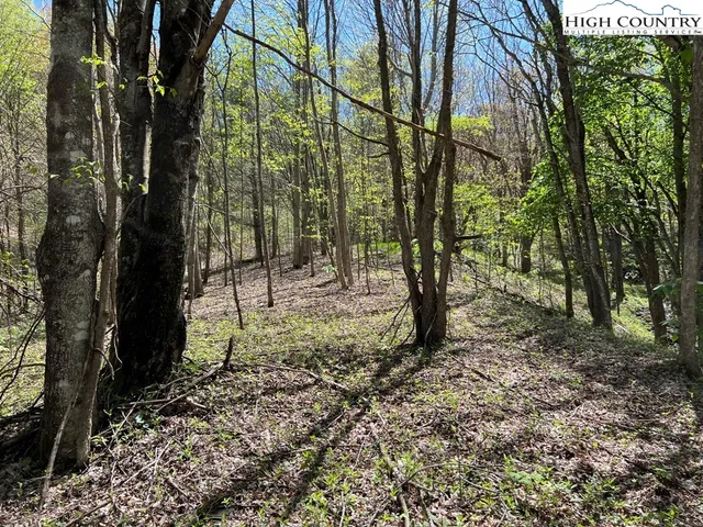 $160,000 | Lots C24-c33 Lots C24-c33 Buffalo Nvno, Zionville, NC 28698