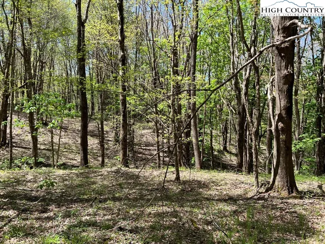 $160,000 | Lots C24-c33 Lots C24-c33 Buffalo Nvno, Zionville, NC 28698