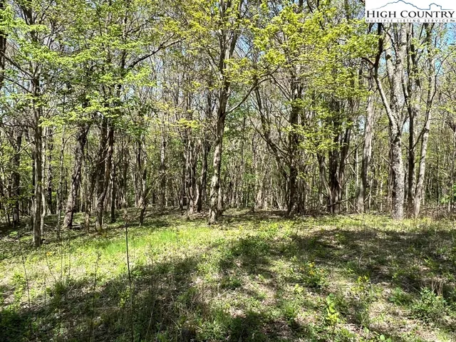 $160,000 | Lots C24-c33 Lots C24-c33 Buffalo Nvno, Zionville, NC 28698