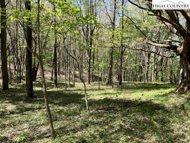 $160,000 | Lots C24-c33 Lots C24-c33 Buffalo Nvno, Zionville, NC 28698