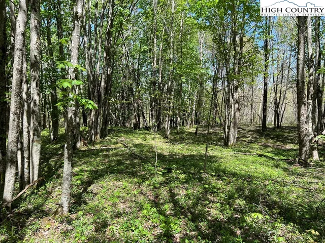 $160,000 | Lots C24-c33 Lots C24-c33 Buffalo Nvno, Zionville, NC 28698
