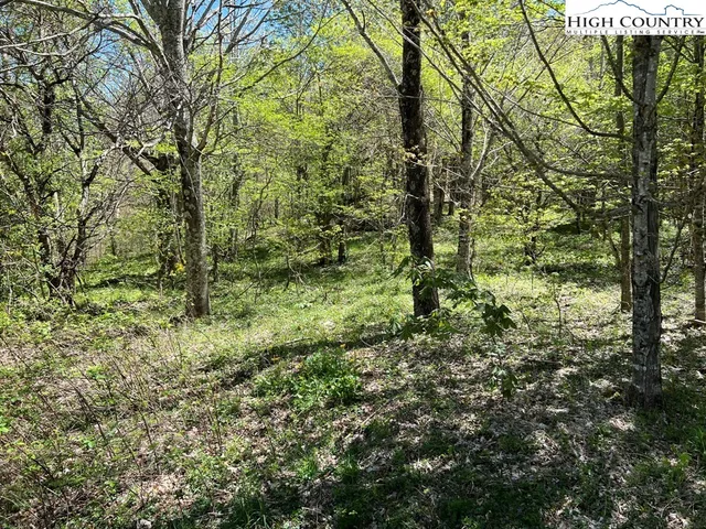 $160,000 | Lots C24-c33 Lots C24-c33 Buffalo Nvno, Zionville, NC 28698
