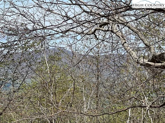 $160,000 | Lots C24-c33 Lots C24-c33 Buffalo Nvno, Zionville, NC 28698