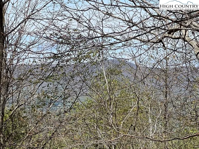 $160,000 | Lots C24-c33 Lots C24-c33 Buffalo Nvno, Zionville, NC 28698