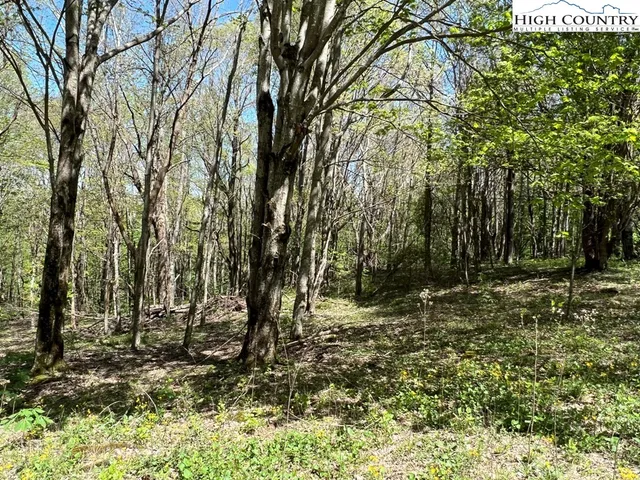 $160,000 | Lots C24-c33 Lots C24-c33 Buffalo Nvno, Zionville, NC 28698