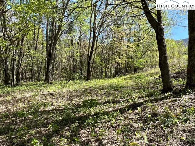 $160,000 | Lots C24-c33 Lots C24-c33 Buffalo Nvno, Zionville, NC 28698