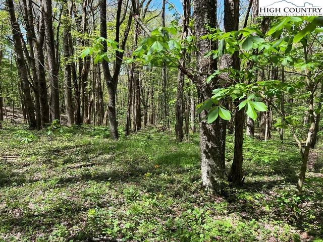 $160,000 | Lots C24-c33 Lots C24-c33 Buffalo Nvno, Zionville, NC 28698