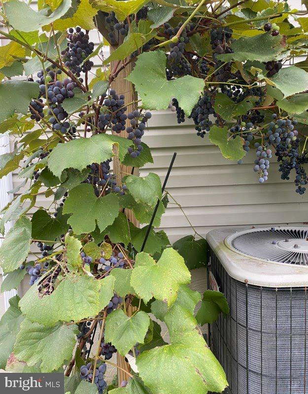 237 Walker Crossing Bellefonte, PA 16823 - Photo 6 of 9