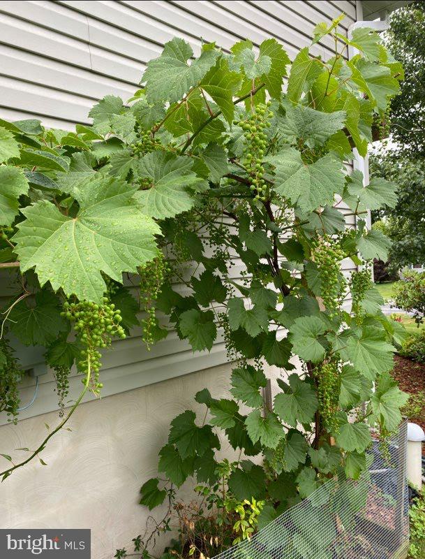 237 Walker Crossing Bellefonte, PA 16823 - Photo 7 of 9