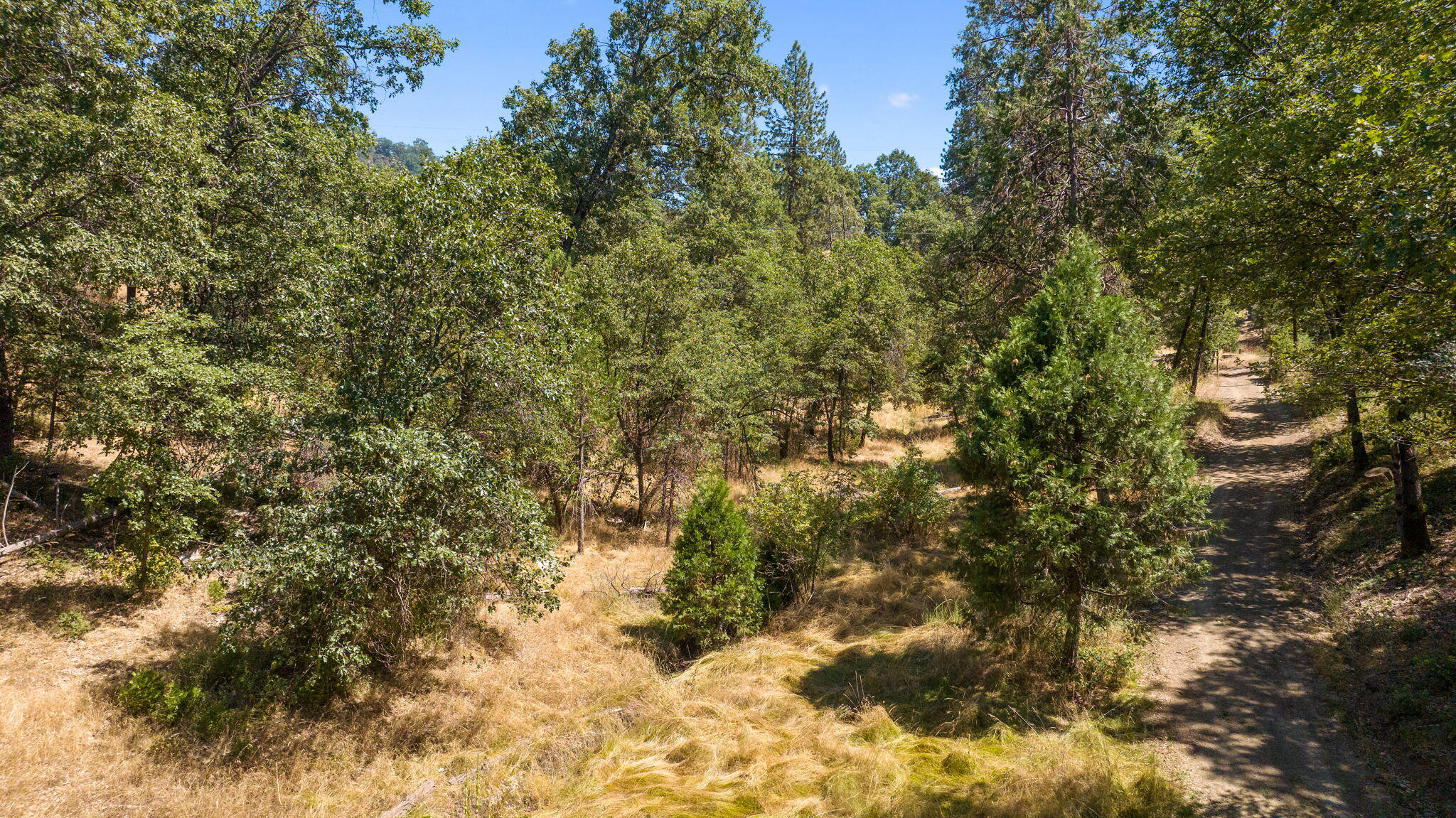 48675 Todd Eymann Road Miramonte, CA 93641 - Photo 100 of 103 99-web-or-mls-67-print-DJI_2024080514422