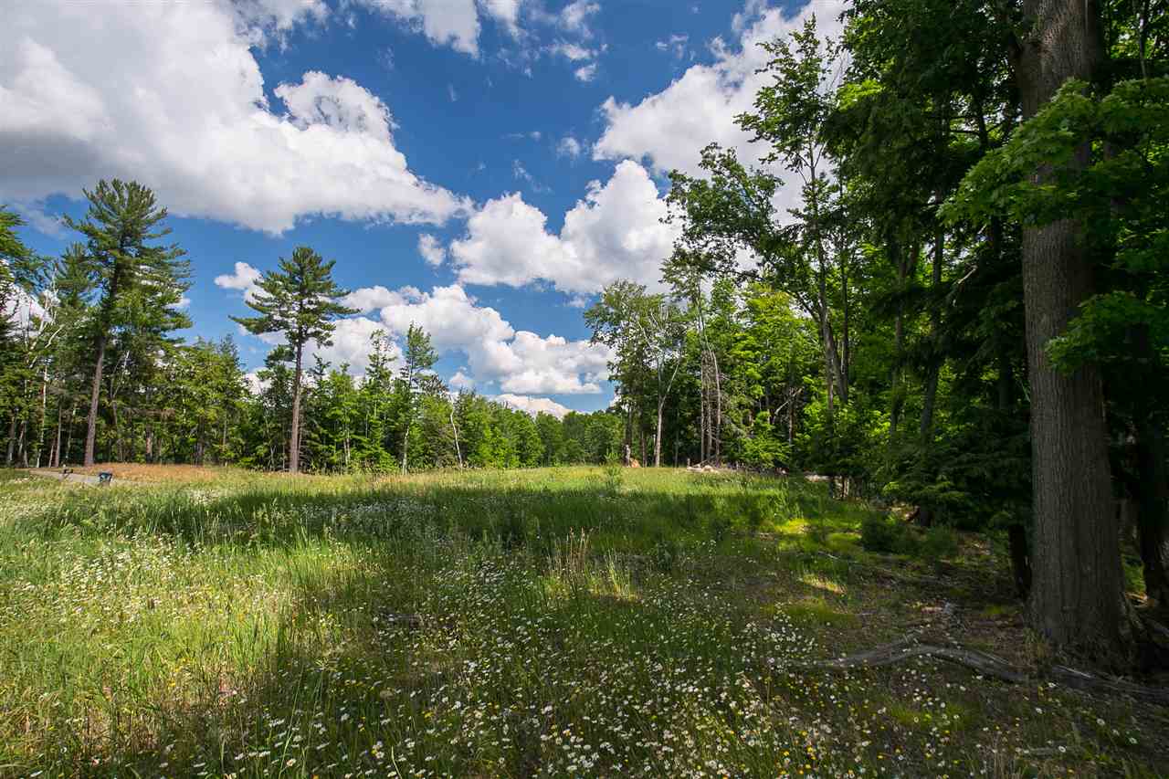 1063 Tranquil Point Road Traverse City, MI 49696 - Photo 23 of 30 1811067-22.JPG