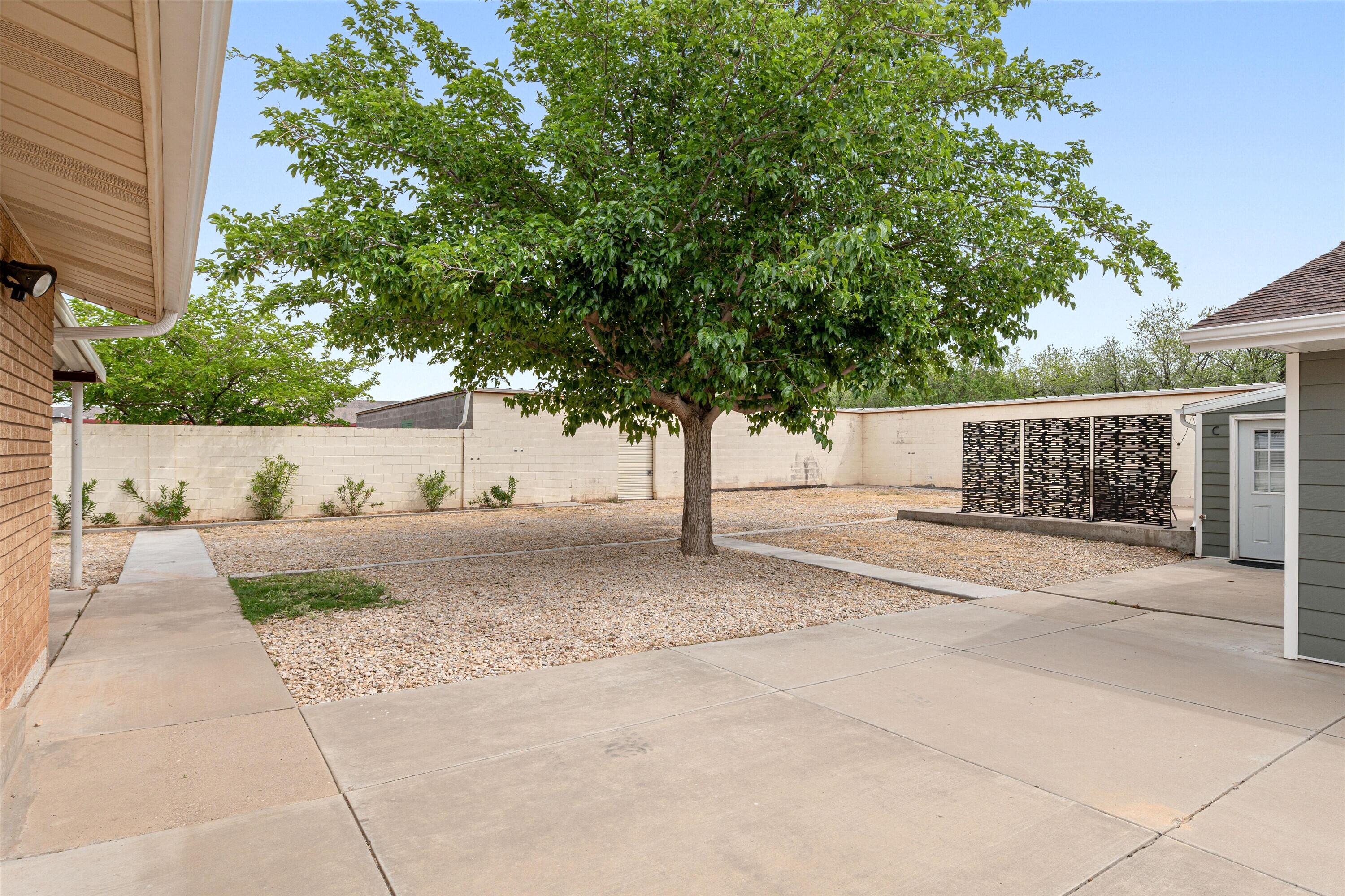 1649 West State Street Hurricane, UT 84737 - Photo 64 of 94 67 Backyard SE Corner