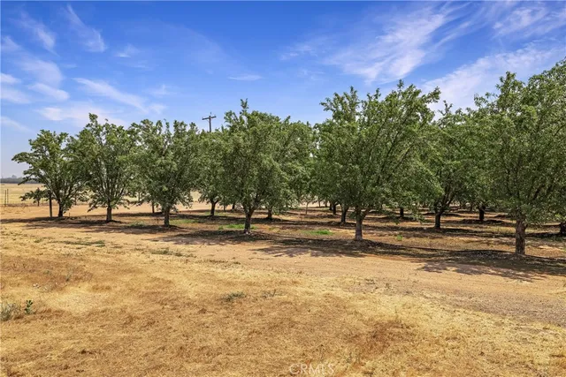 $1,350,000 | 24515 Moller Avenue, Orland, CA 95963