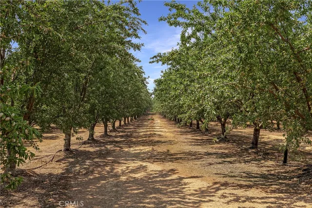 $1,350,000 | 24515 Moller Avenue, Orland, CA 95963