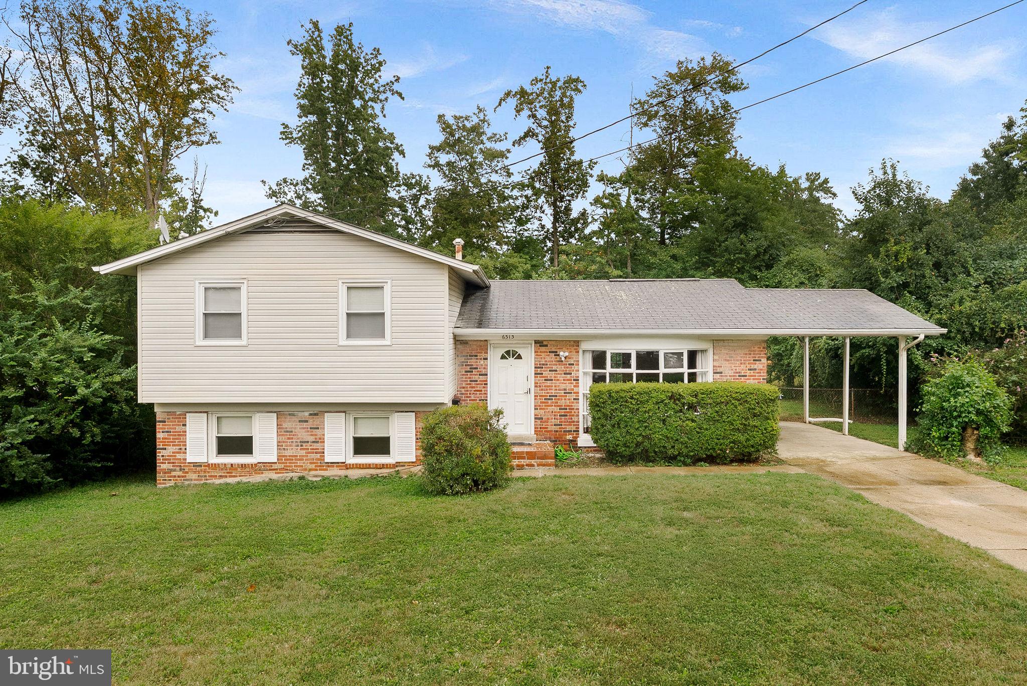 a view of a yard in front of a house with plants and large tree