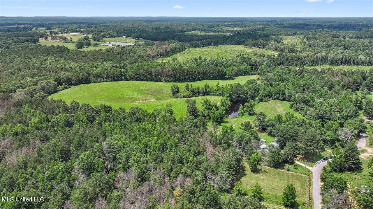 Hosey Road Magee, MS 39111 - Photo 23 of 30 47-243 Hosey Rd