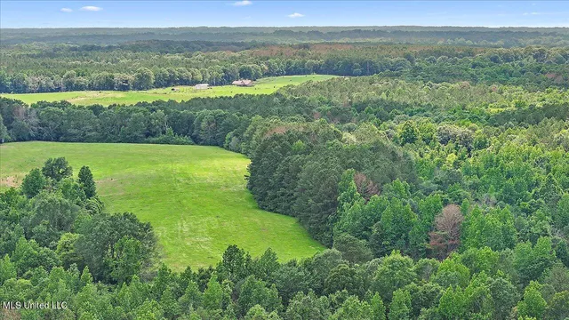 $98,000 | Hosey Road, Magee, MS 39111