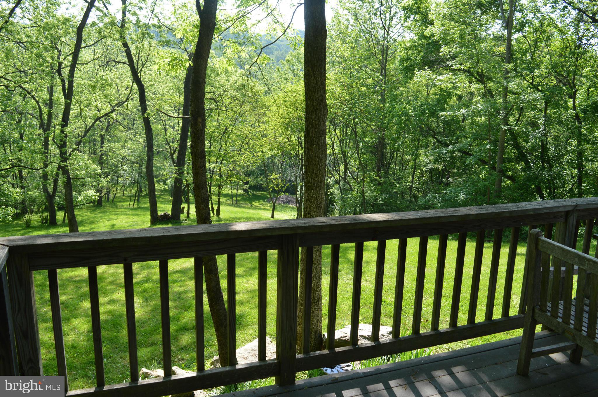 38313 North Fork Road Purcellville, VA 20132 - Photo 15 of 30 Inhale . . . peace . . .