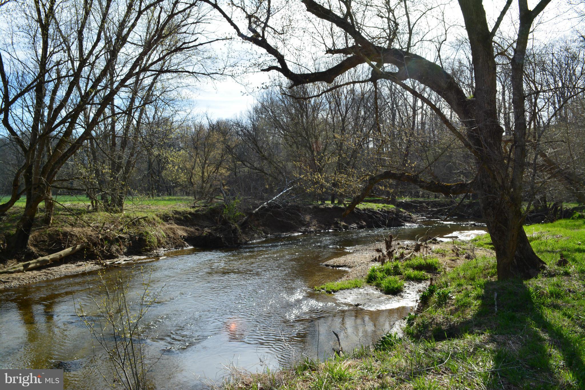 38313 North Fork Road Purcellville, VA 20132 - Photo 26 of 30 Refreshing views for hot summer days