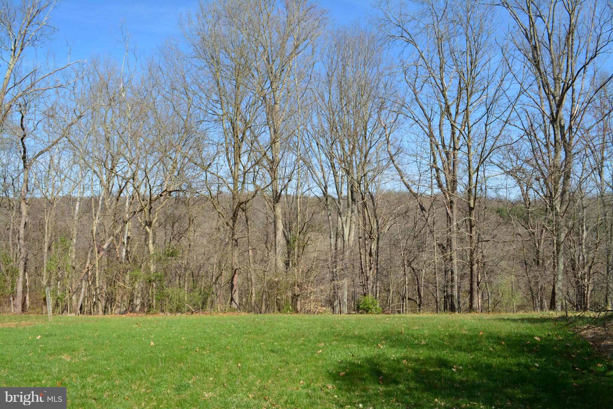 38313 North Fork Road Purcellville, VA 20132 - Photo 28 of 30 Overlooking Mount Gilead