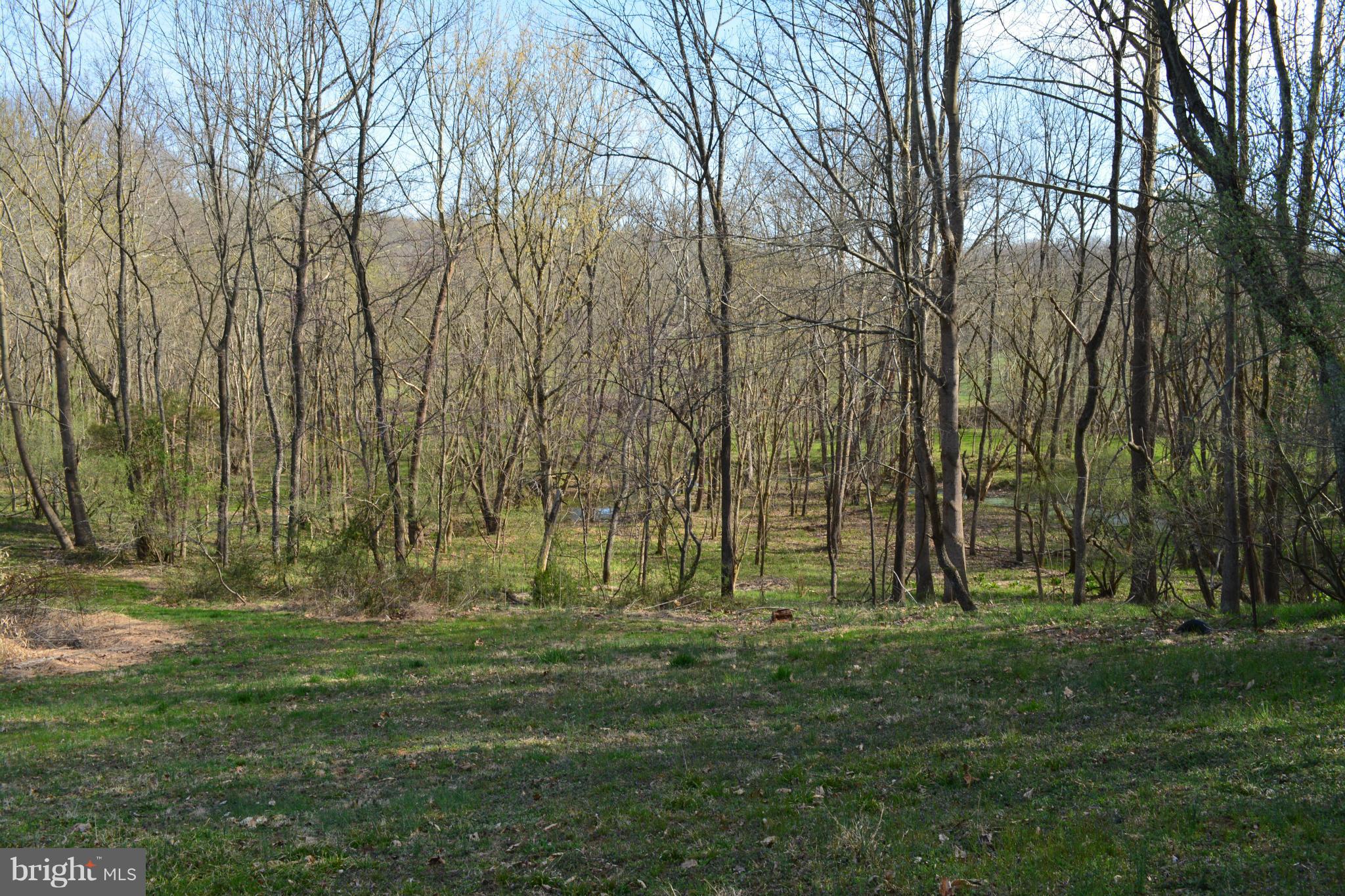 38313 North Fork Road Purcellville, VA 20132 - Photo 29 of 30 Pristine and Private