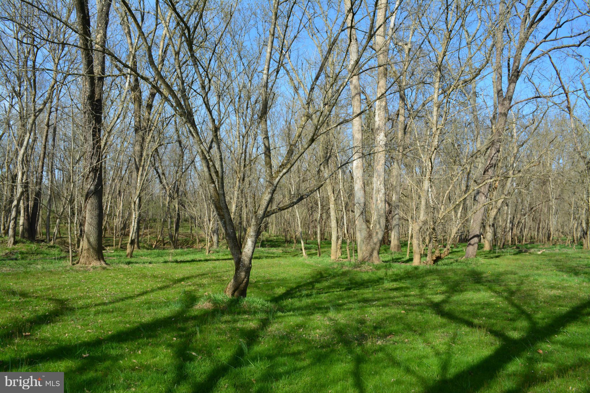 38313 North Fork Road Purcellville, VA 20132 - Photo 30 of 30 Your own paradise