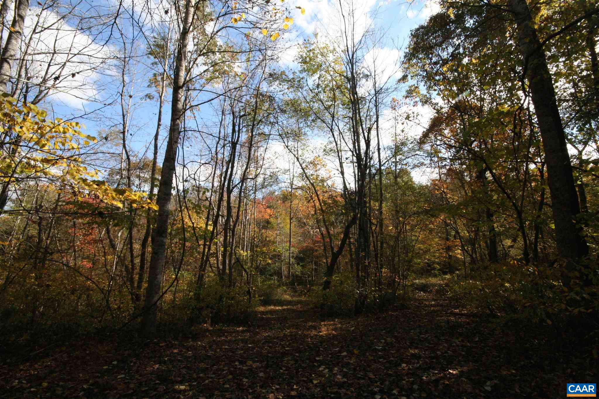 Tba Lot A Tba Road Howardsville, VA 24562 - Photo 12 of 64 a view of outdoor space and yard