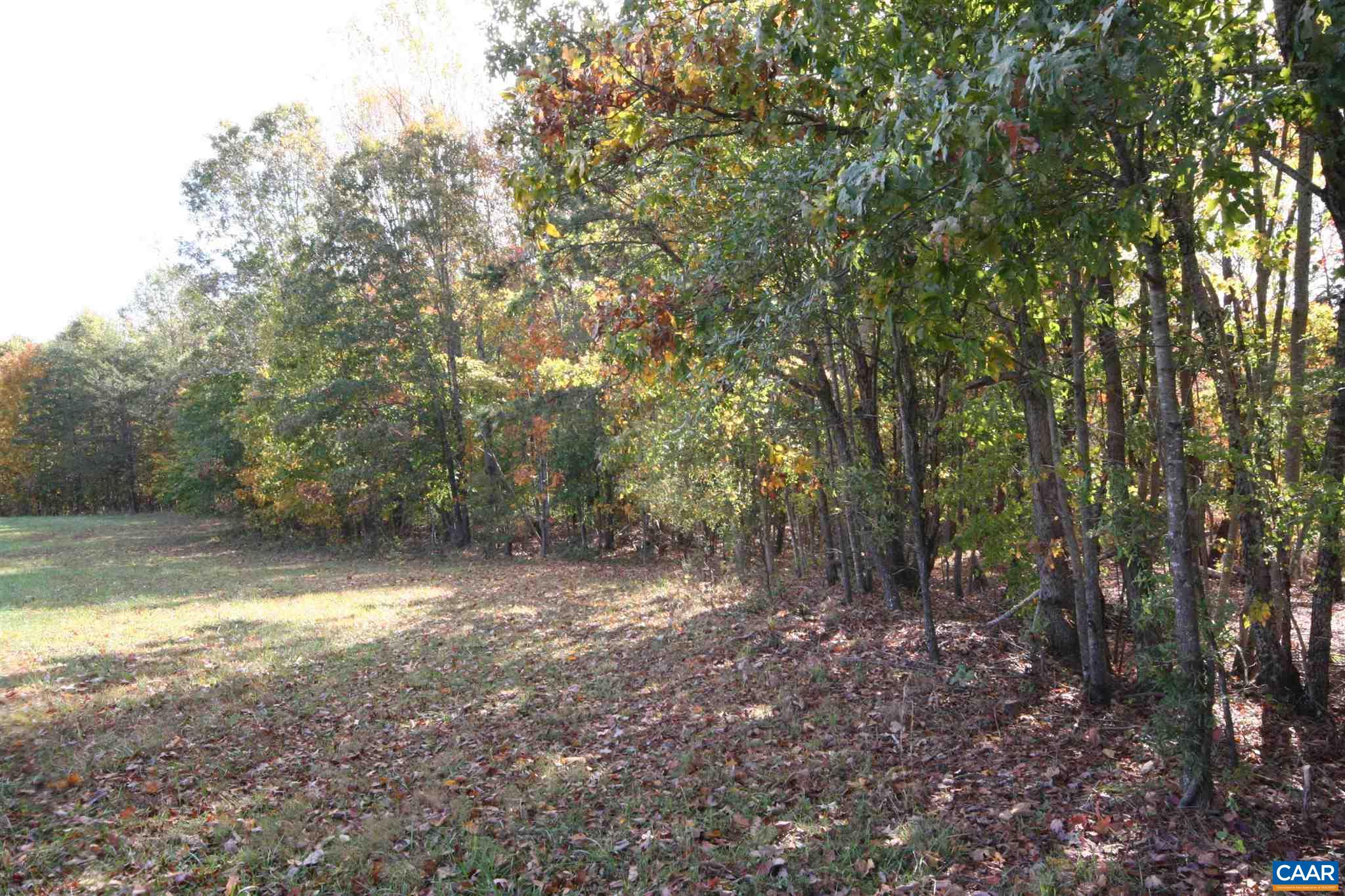 Tba Lot A Tba Road Howardsville, VA 24562 - Photo 13 of 64 a view of a forest with trees in the background