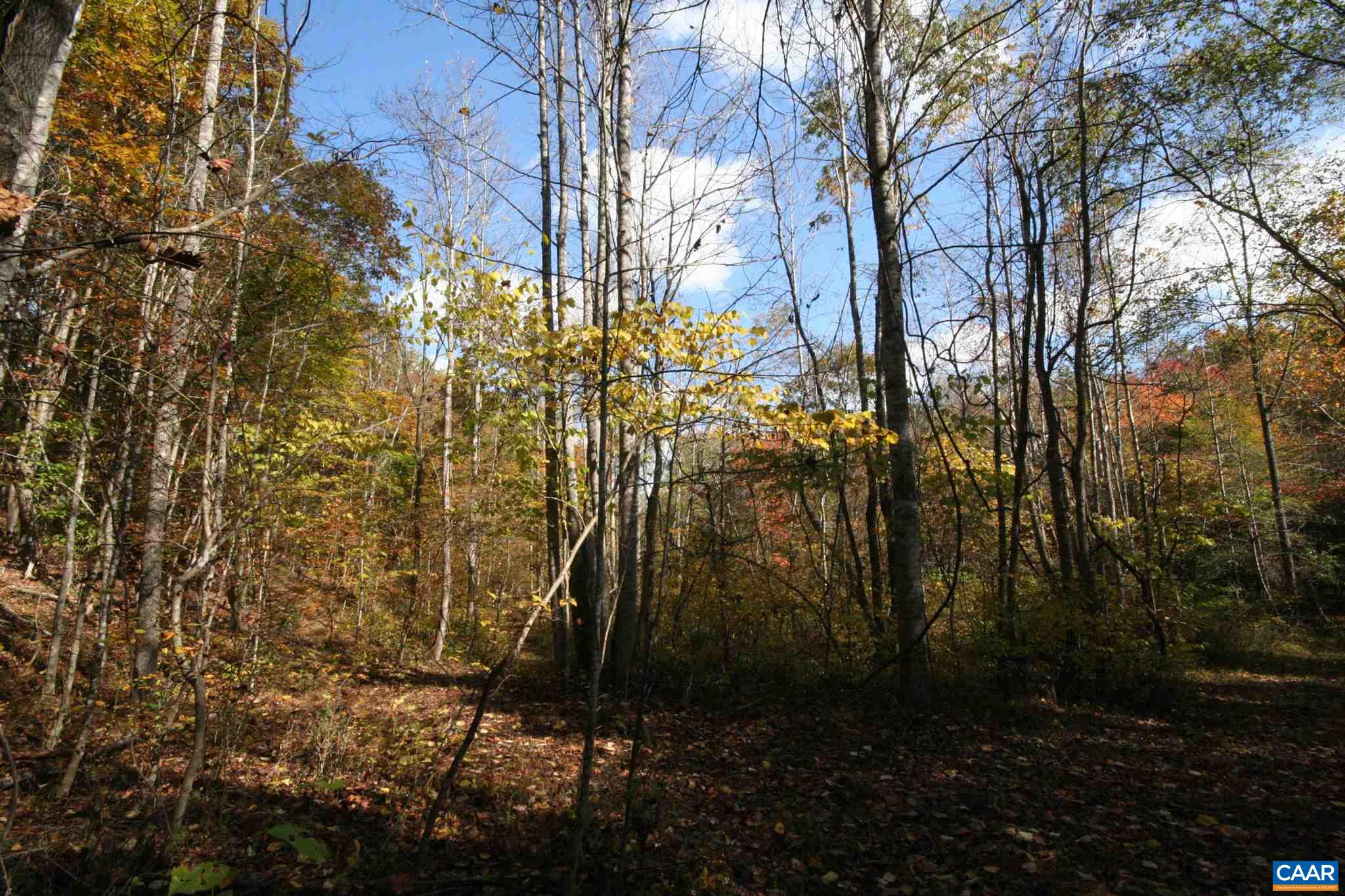 Tba Lot A Tba Road Howardsville, VA 24562 - Photo 14 of 64 a backyard of a house