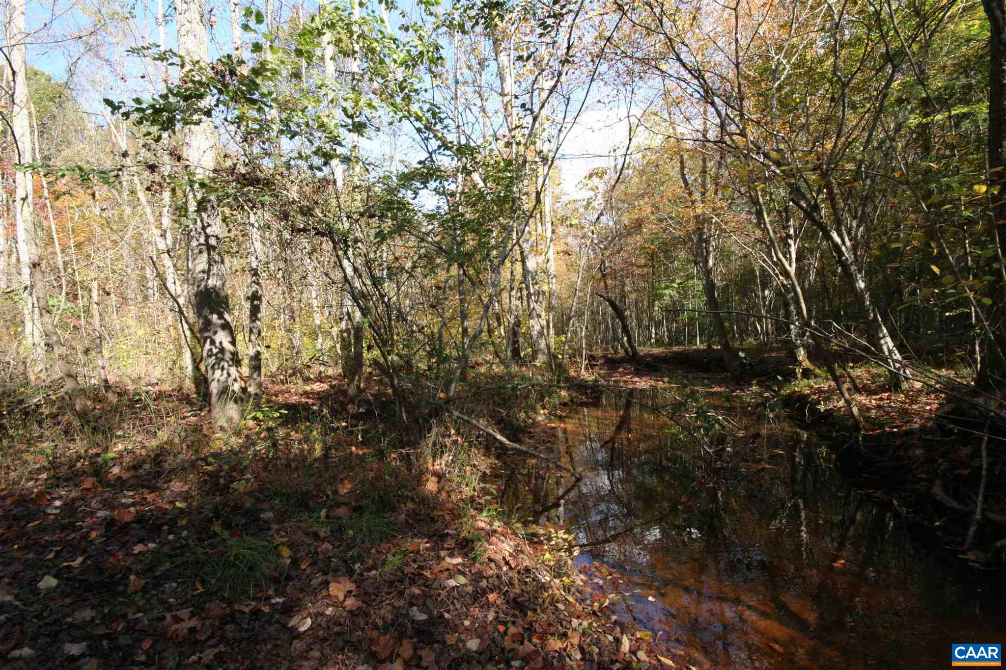 Tba Lot A Tba Road Howardsville, VA 24562 - Photo 19 of 64