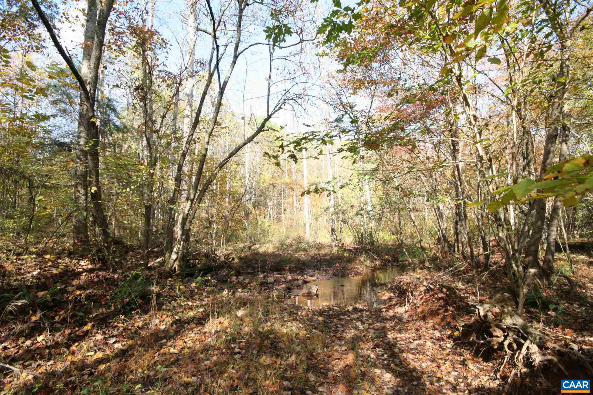 Tba Lot A Tba Road Howardsville, VA 24562 - Photo 20 of 64 a view of outdoor space and a yard