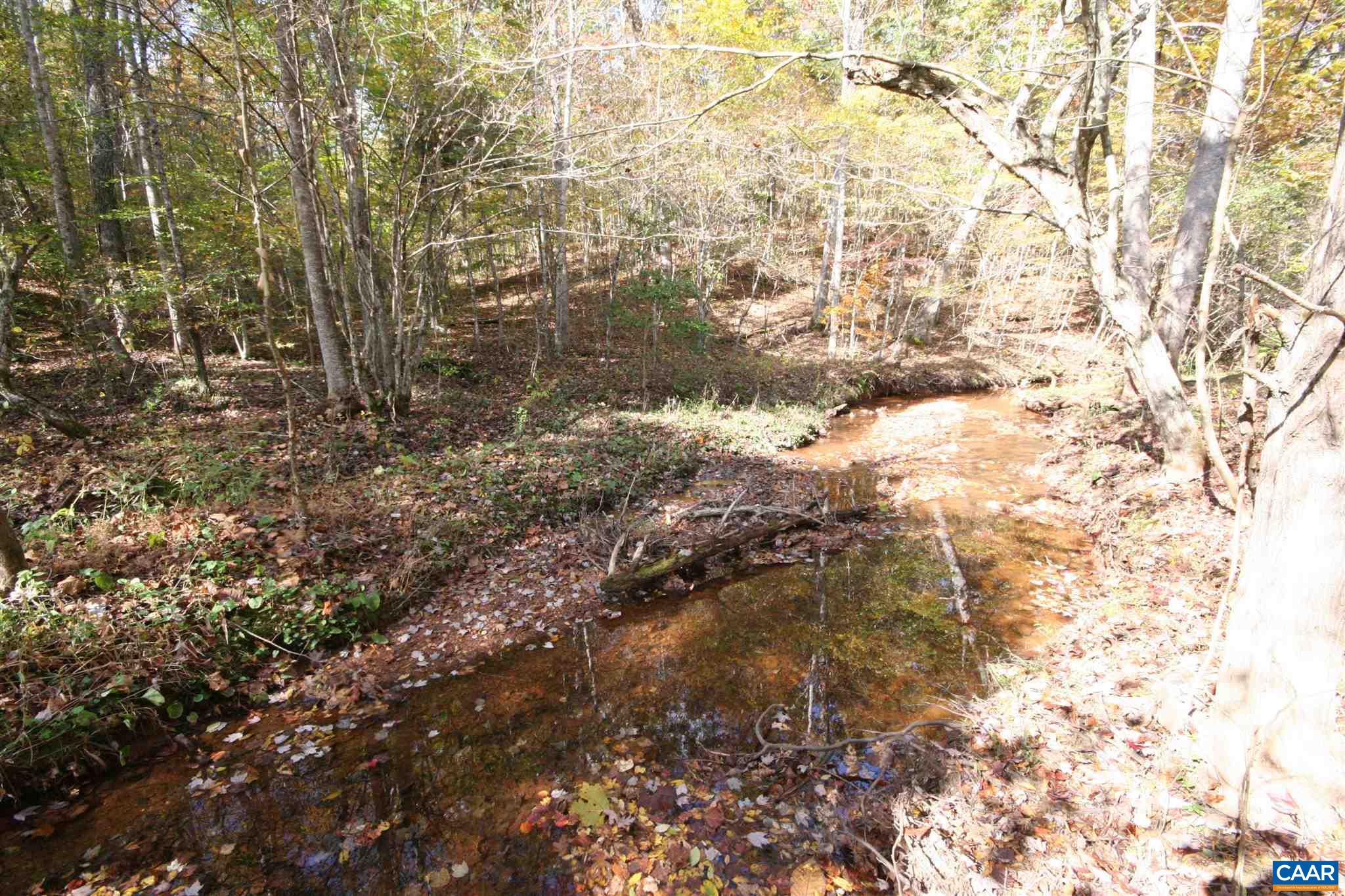 Tba Lot A Tba Road Howardsville, VA 24562 - Photo 22 of 64