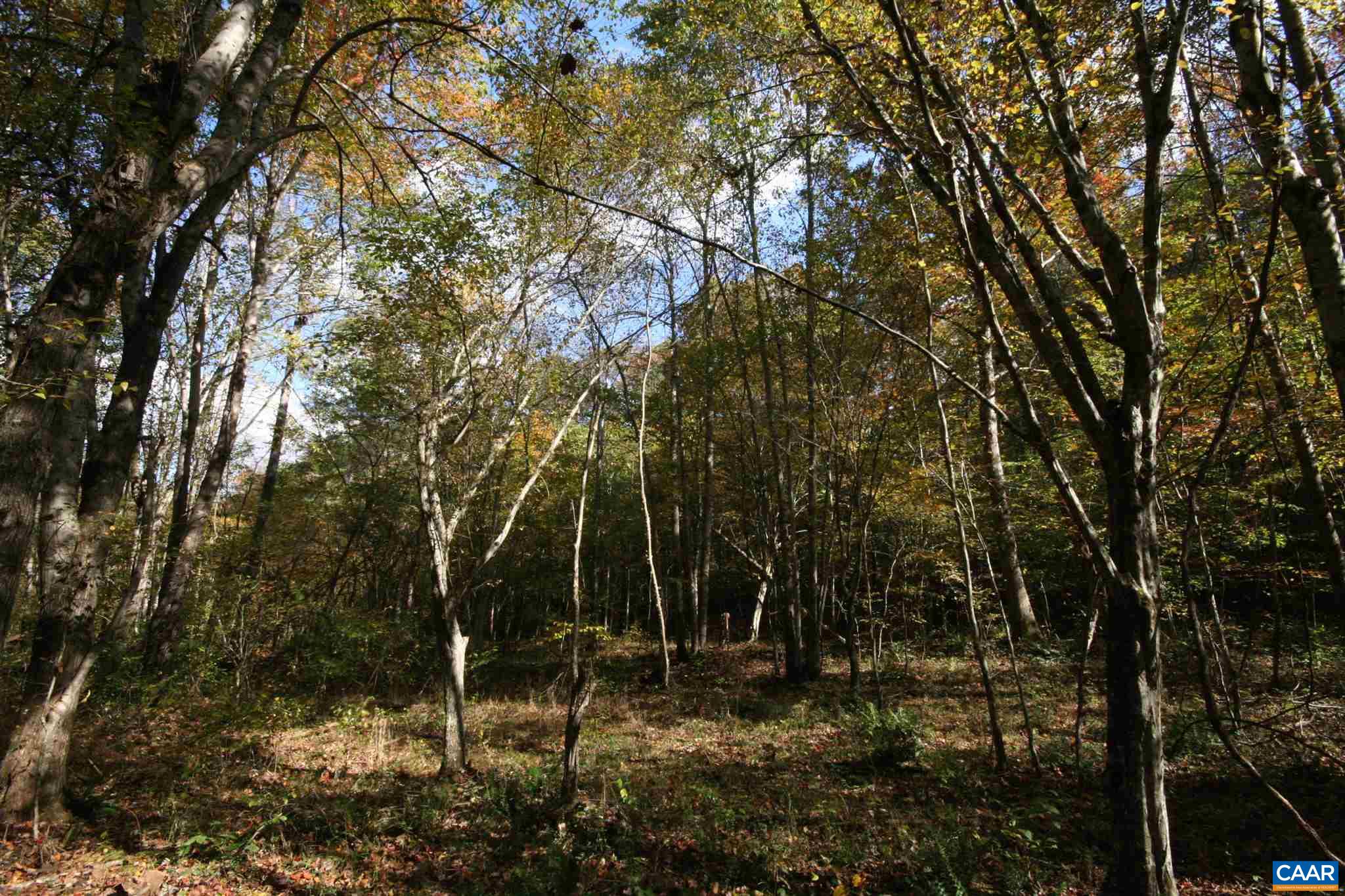 Tba Lot A Tba Road Howardsville, VA 24562 - Photo 23 of 64 a view of outdoor space and yard