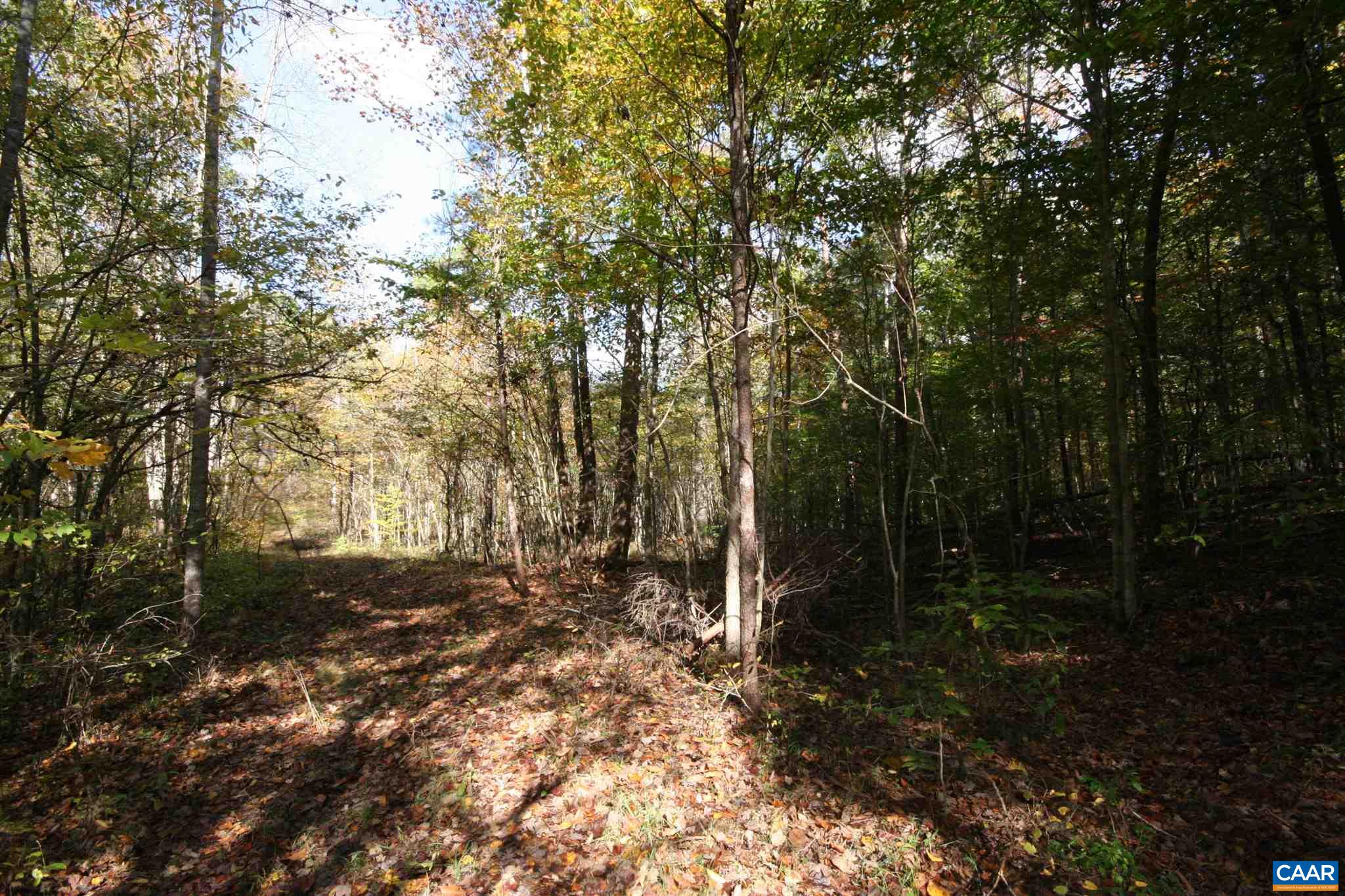 Tba Lot A Tba Road Howardsville, VA 24562 - Photo 24 of 64 a view of outdoor space and yard