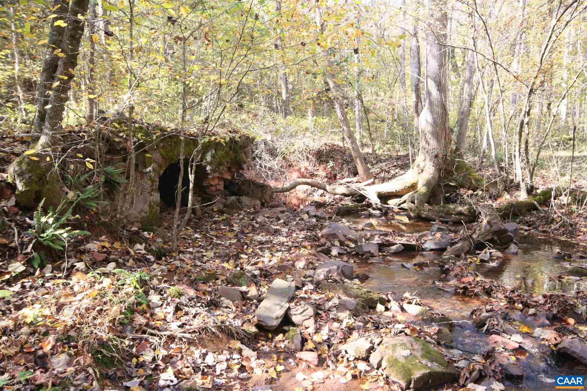 Tba Lot A Tba Road Howardsville, VA 24562 - Photo 25 of 64 a view of a yard with a tree