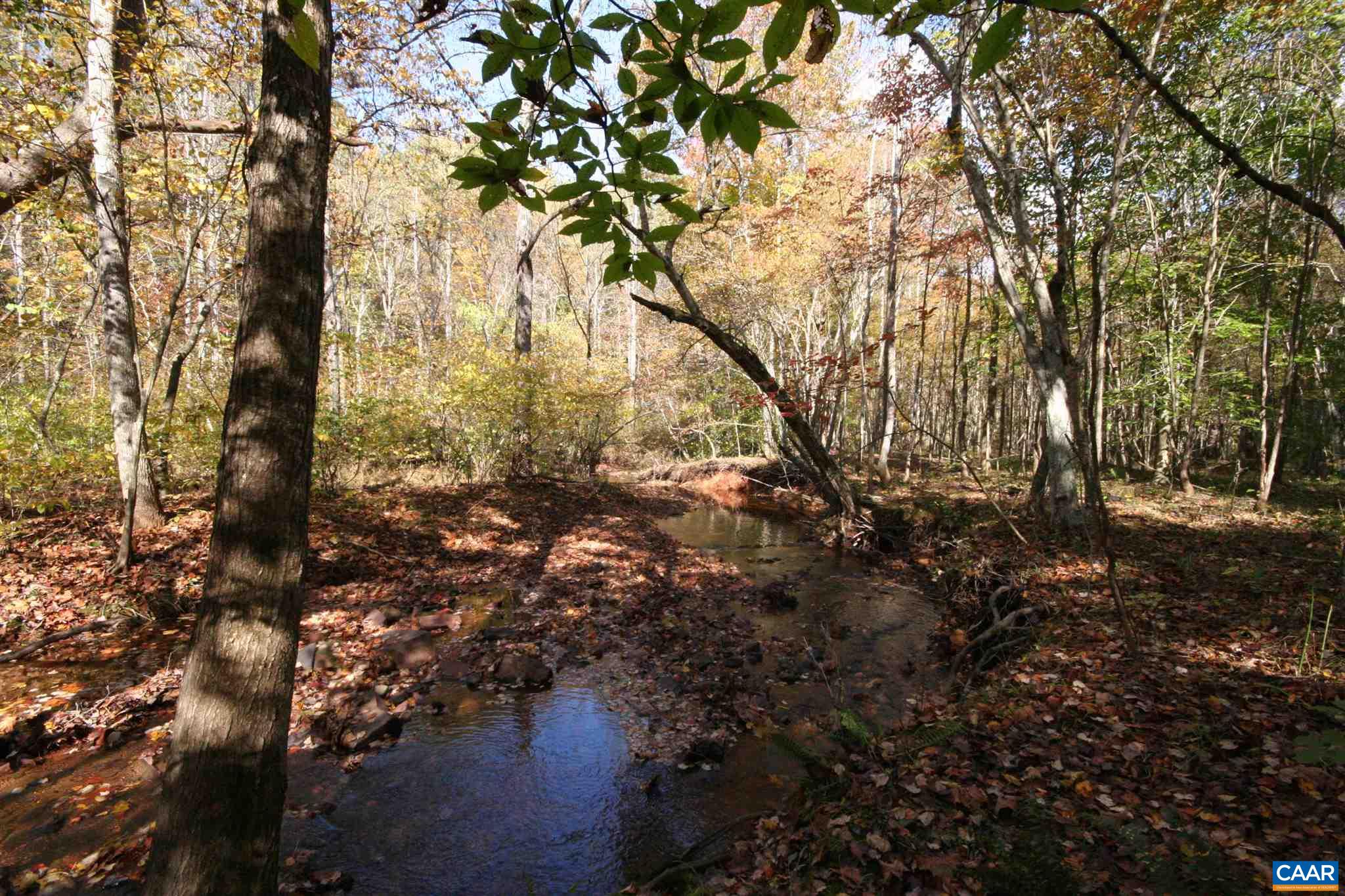 Tba Lot A Tba Road Howardsville, VA 24562 - Photo 26 of 64