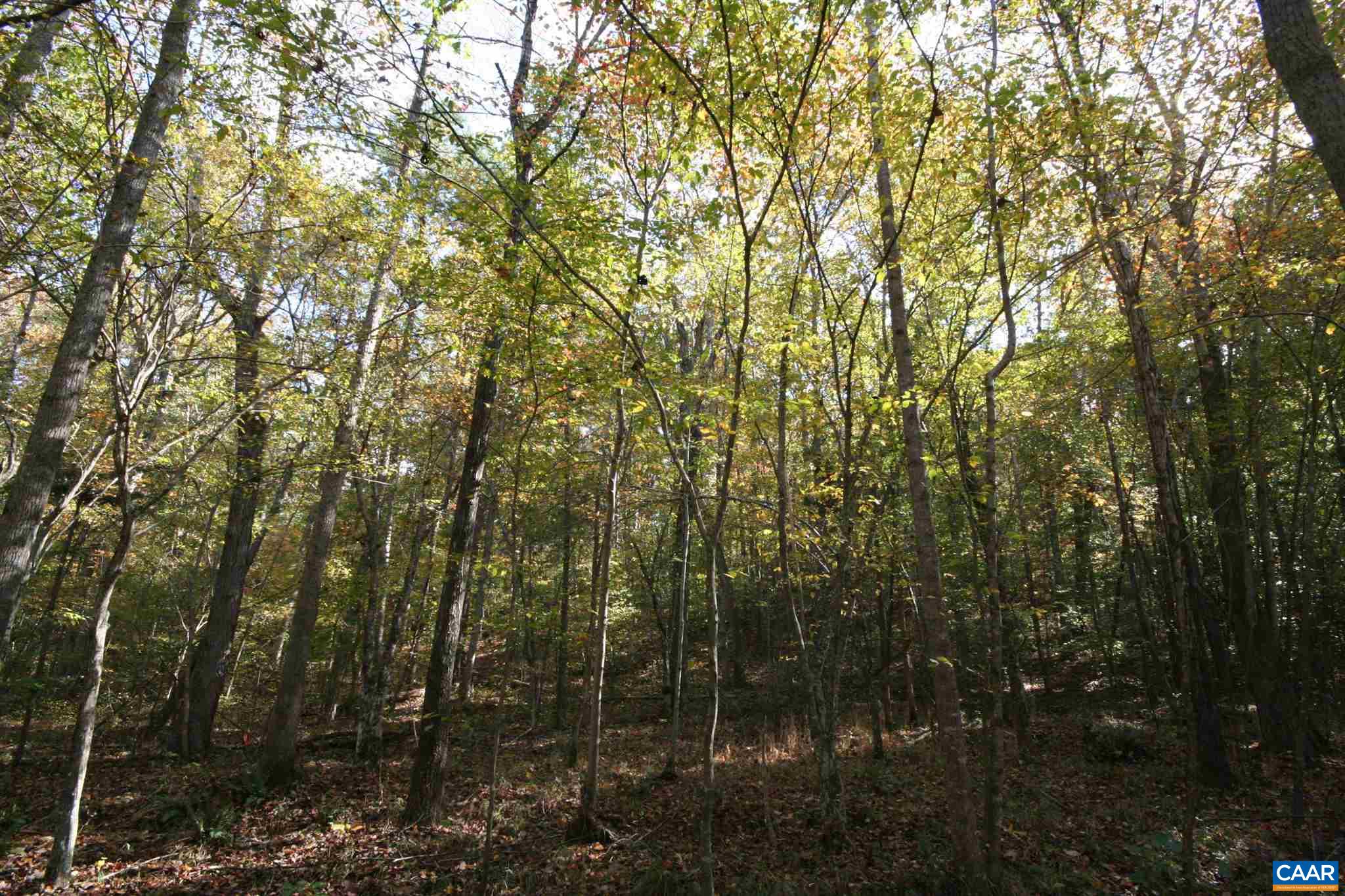 Tba Lot A Tba Road Howardsville, VA 24562 - Photo 27 of 64