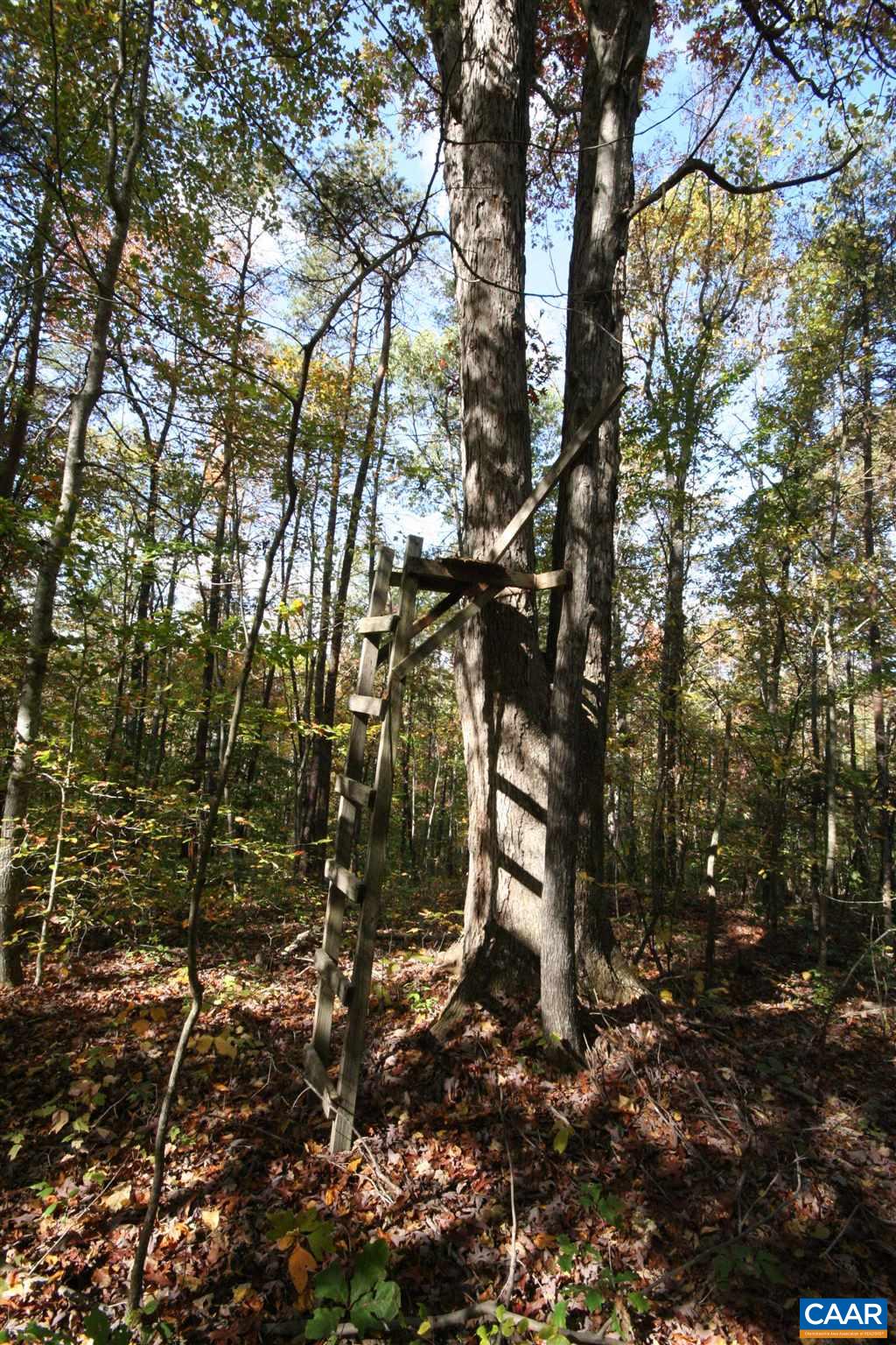 Tba Lot A Tba Road Howardsville, VA 24562 - Photo 29 of 64 a backyard of a house with lots of green space