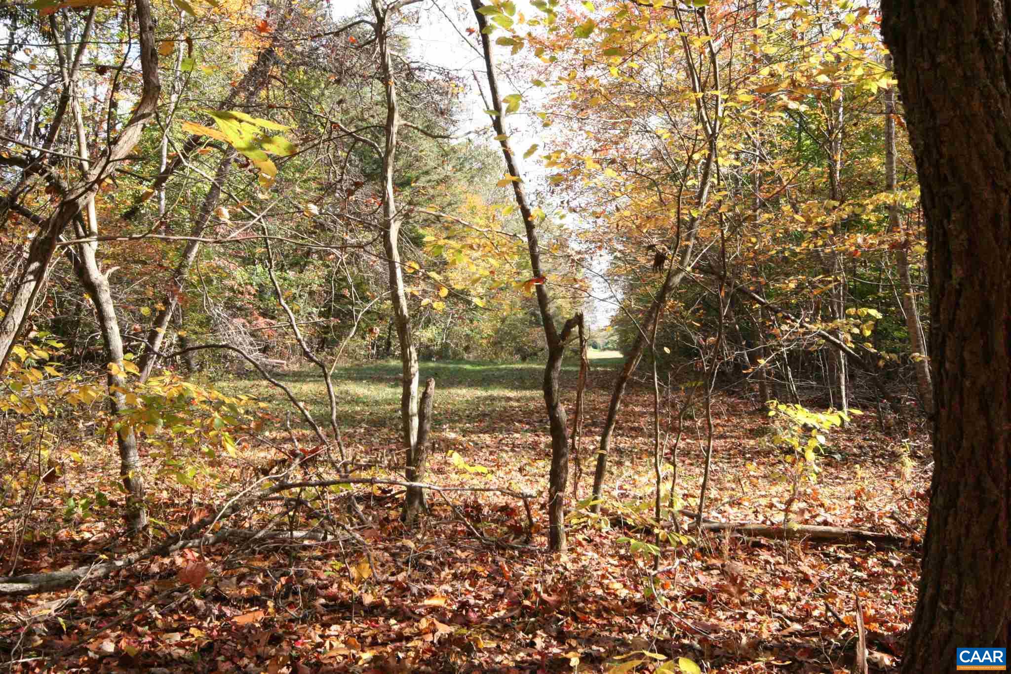 Tba Lot A Tba Road Howardsville, VA 24562 - Photo 30 of 64 a view of a yard with plants and trees
