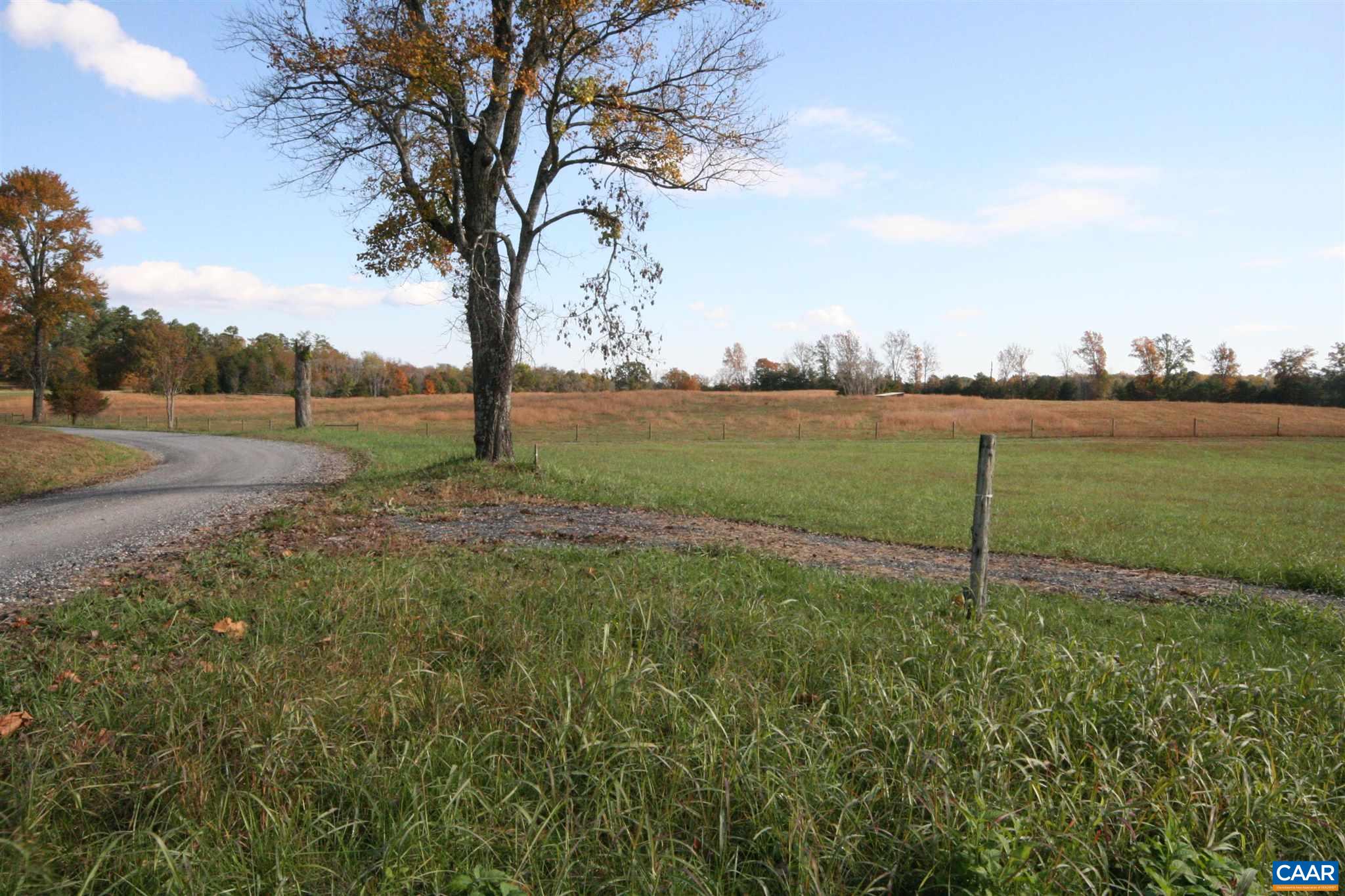 Tba Lot A Tba Road Howardsville, VA 24562 - Photo 31 of 64 a view of a garden with a tree